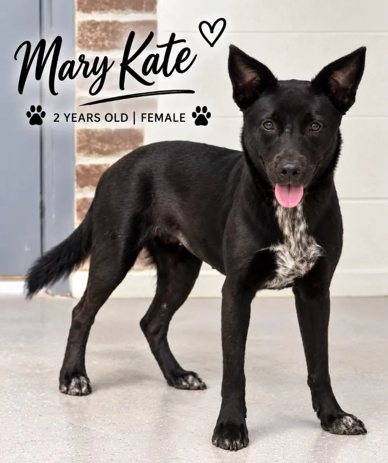 Mary Kate thumbnail 3