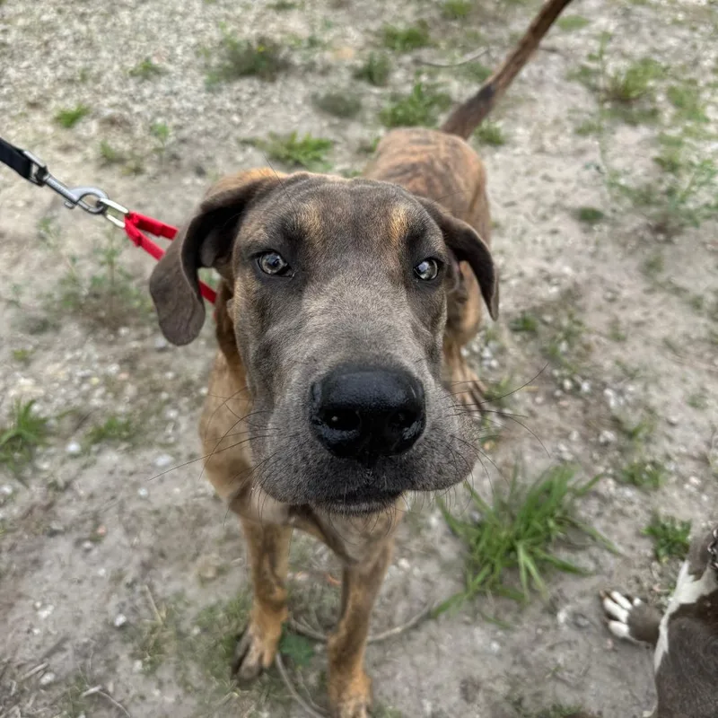 Concrete thumbnail 2