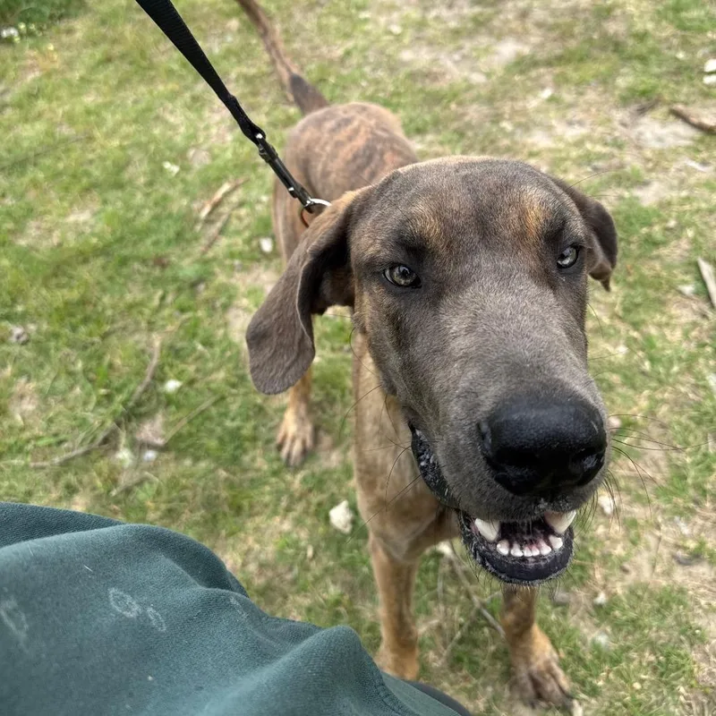 Concrete thumbnail 3