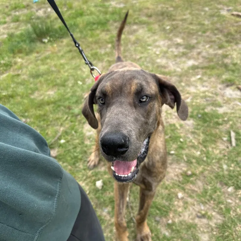 Concrete thumbnail 4