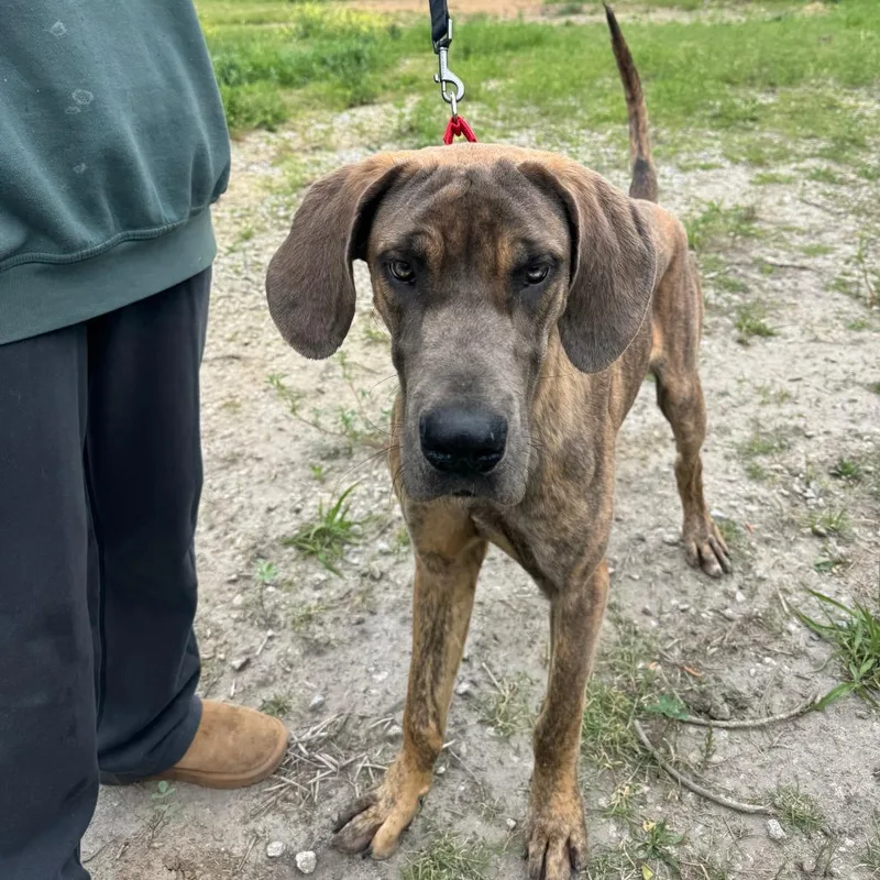 Concrete thumbnail 5