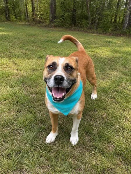 Sam