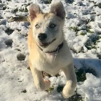 Shazrynn thumbnail 2