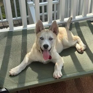 Shazrynn thumbnail 3