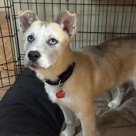 Shazrynn thumbnail 6