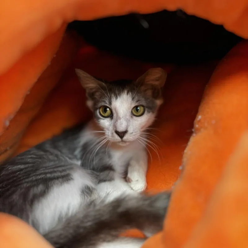 Aquafina thumbnail 2