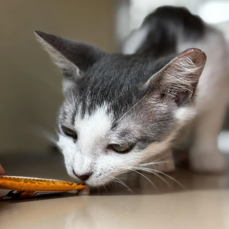 Aquafina thumbnail 3