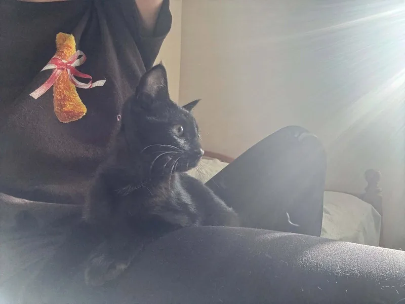 Pepper thumbnail 3