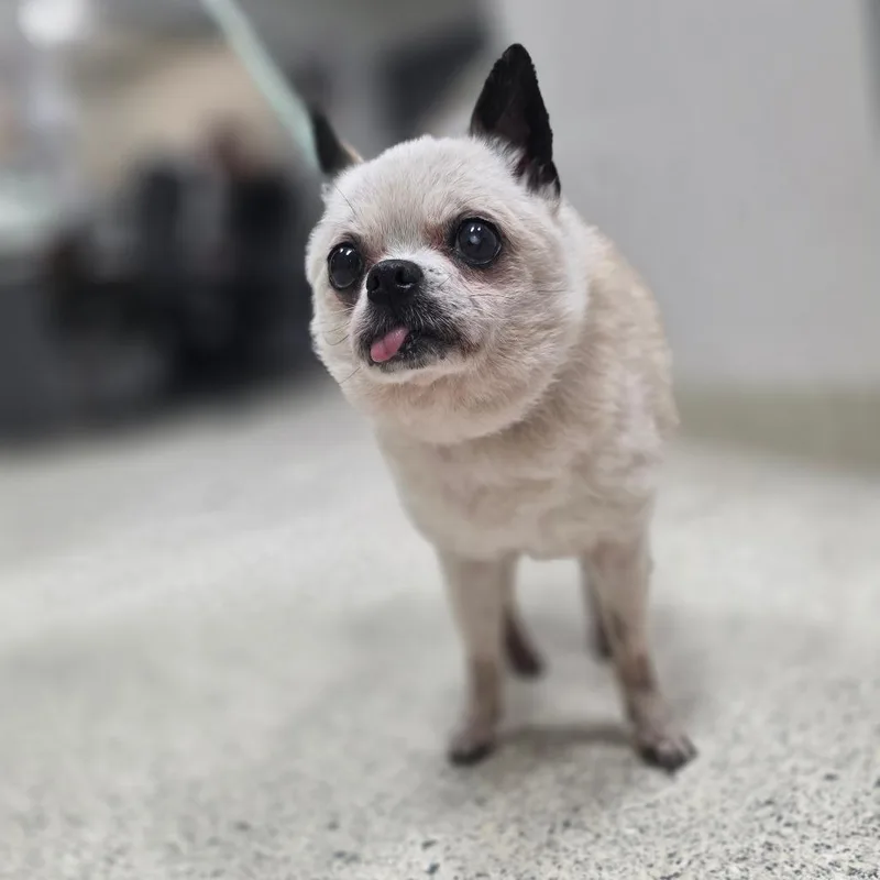 Jimothy thumbnail 3