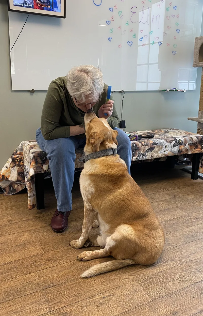 Freckles thumbnail 2