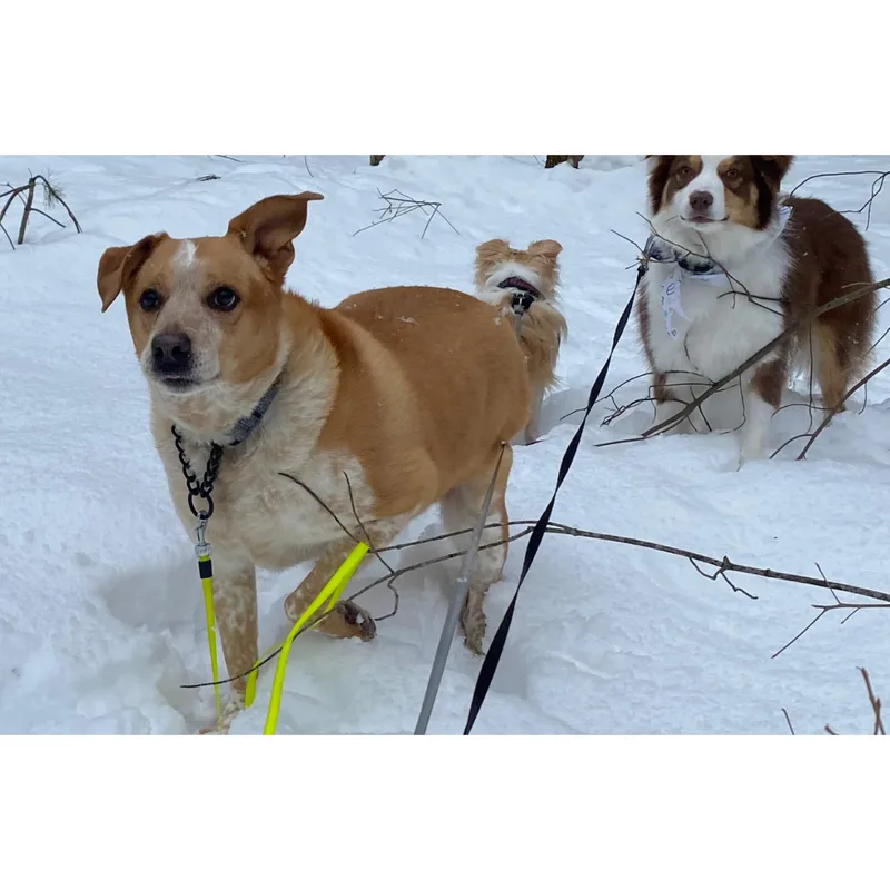 Freckles thumbnail 3