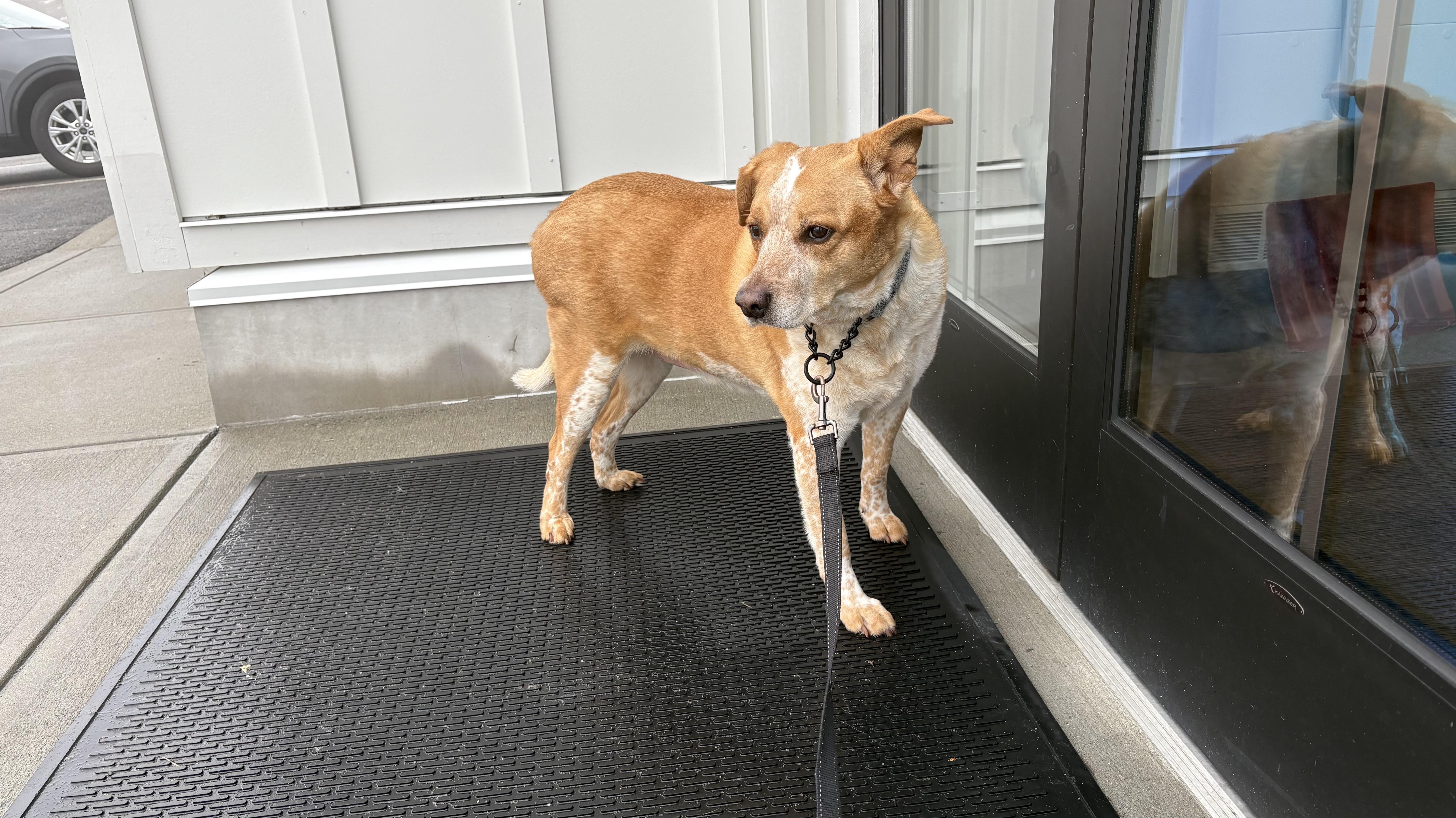 Freckles thumbnail 5