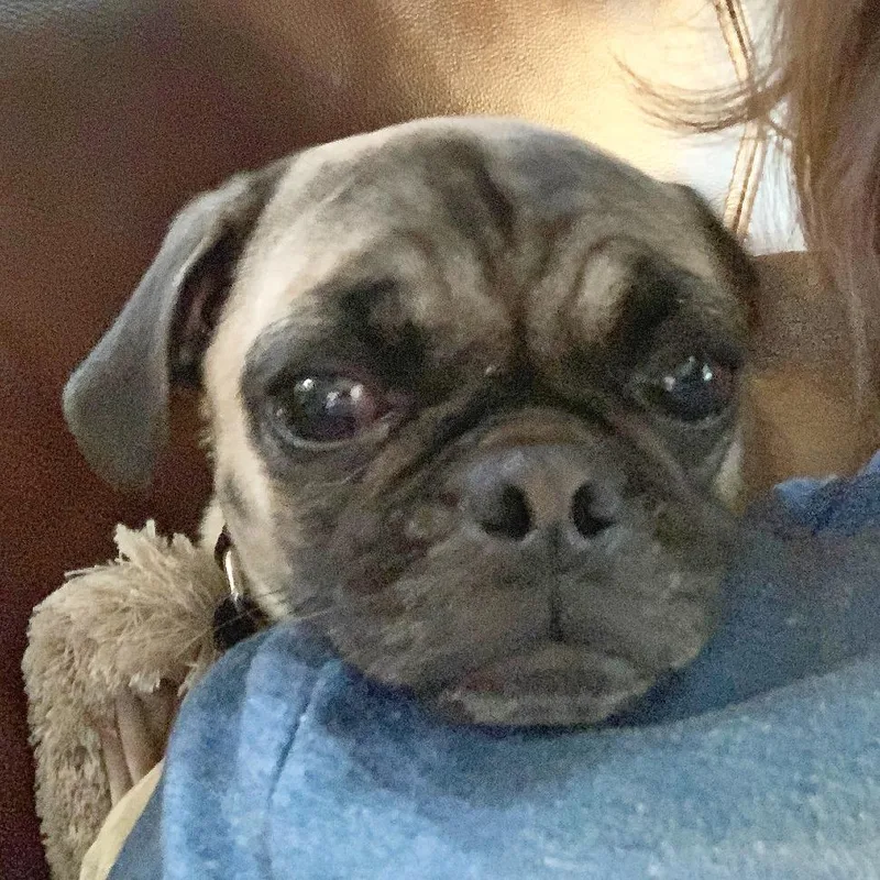 Carina Dee thumbnail 2