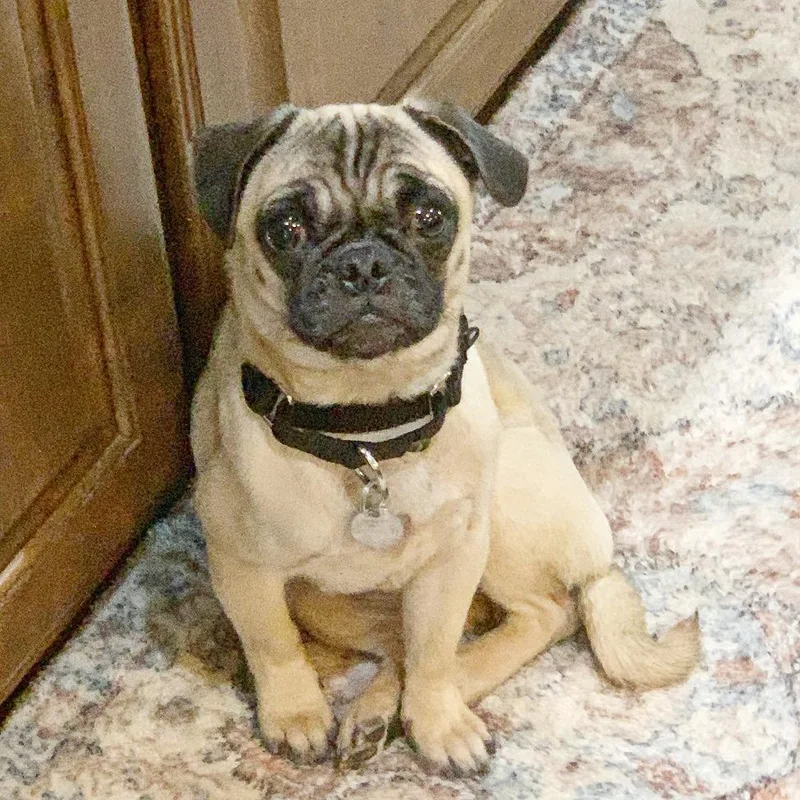 Carina Dee thumbnail 3