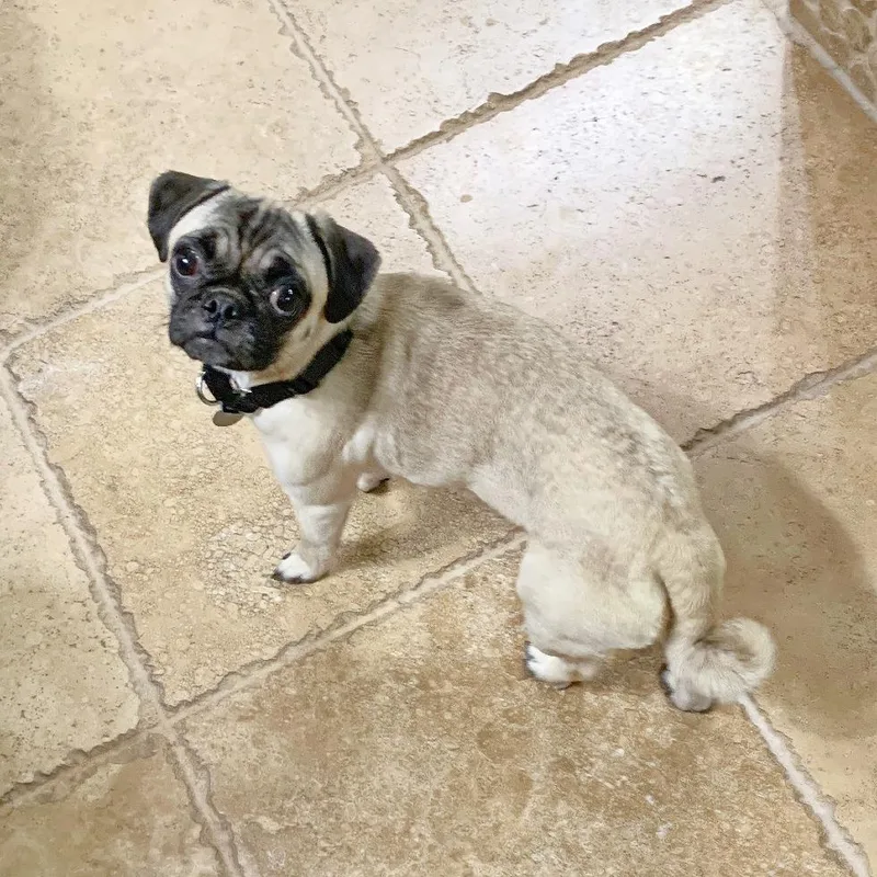 Carina Dee thumbnail 4