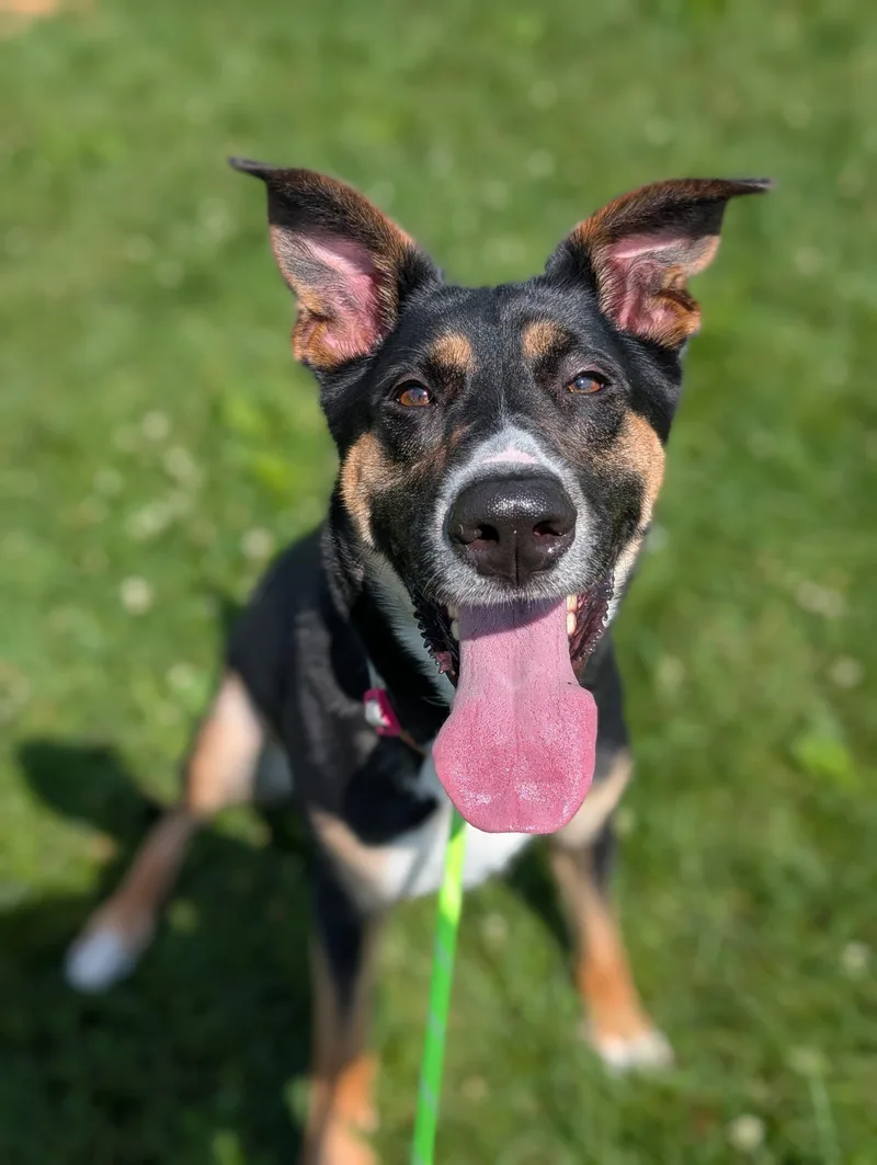 Delilah