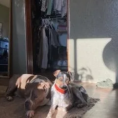 Tyson