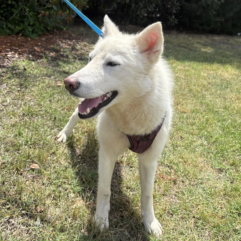 Mineral Water thumbnail 3