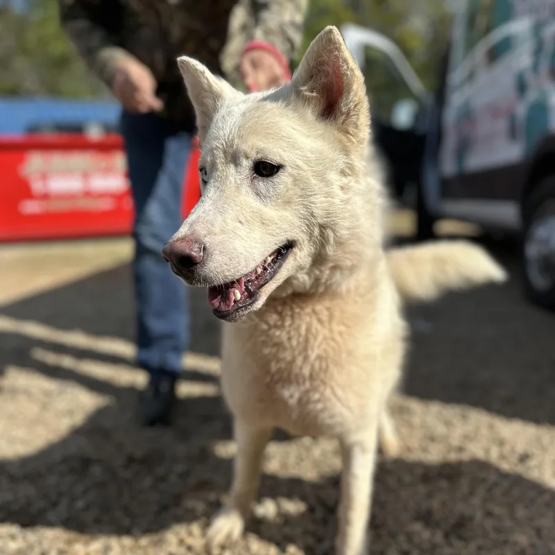 Mineral Water thumbnail 5