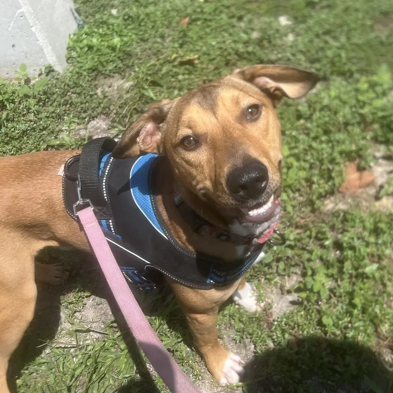 Buzzy Aldrin thumbnail 3