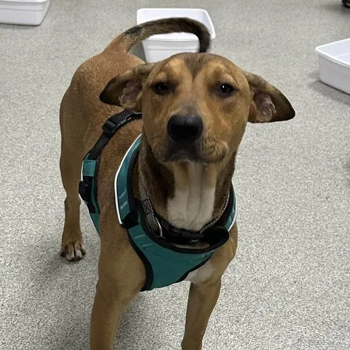 Buzzy Aldrin thumbnail 4