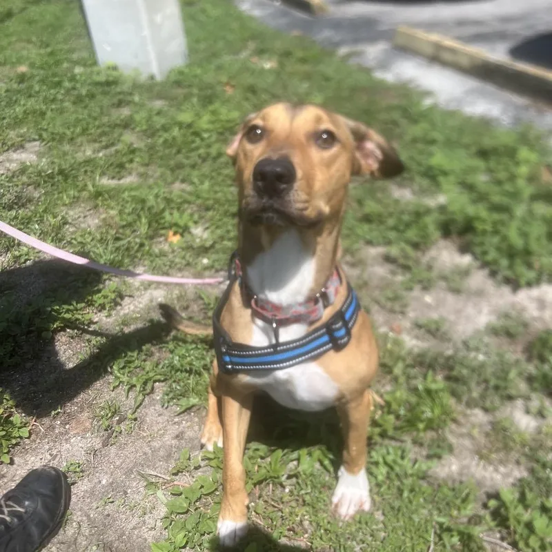 Buzzy Aldrin thumbnail 6