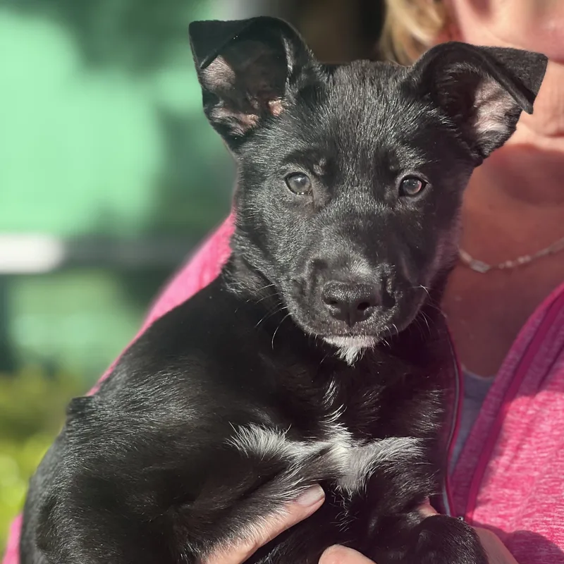 Bali~ Sweet And Happy