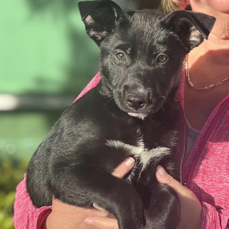 Bali~ Sweet And Happy thumbnail 2