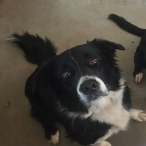 Courtesy Listing Hank thumbnail 2