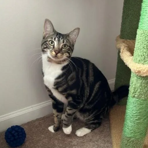 Maura & Madeline thumbnail 2