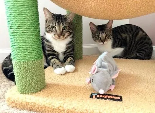 Maura & Madeline thumbnail 3