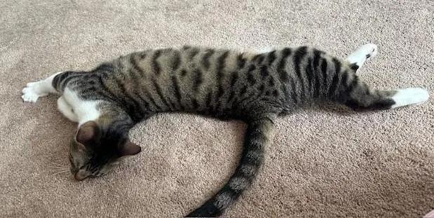 Maura & Madeline thumbnail 4