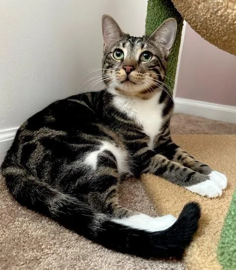 Maura & Madeline thumbnail 5