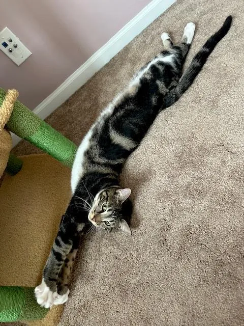 Maura & Madeline thumbnail 6