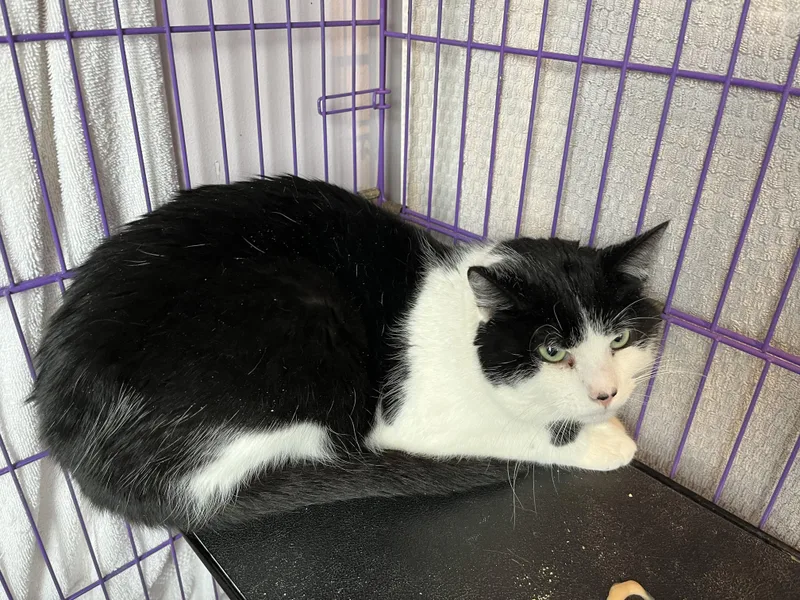 Devereaux thumbnail 2