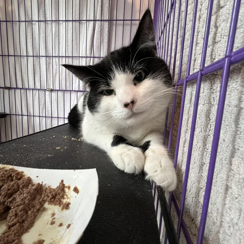 Devereaux thumbnail 4