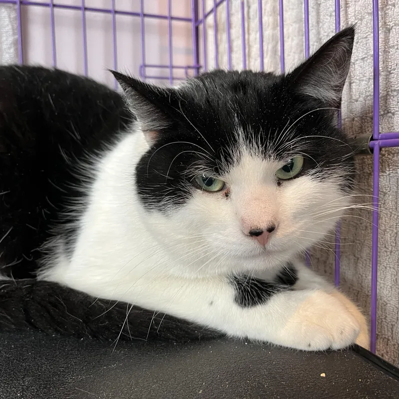 Devereaux thumbnail 5