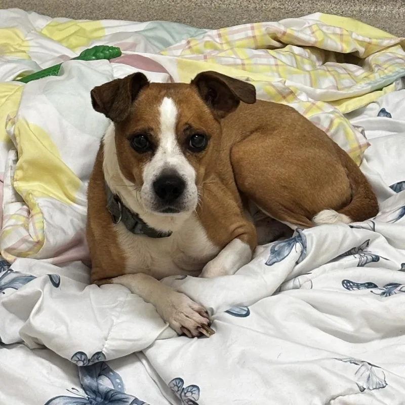 Max