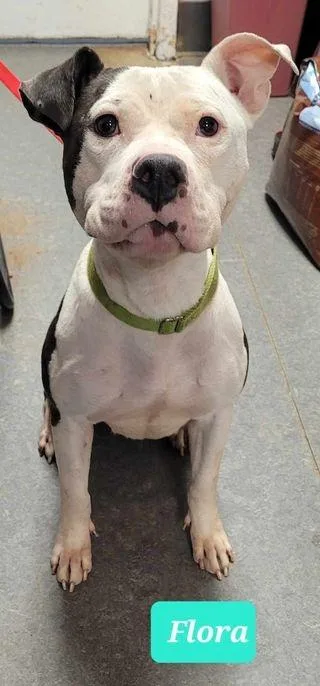 Florasponsored thumbnail 2