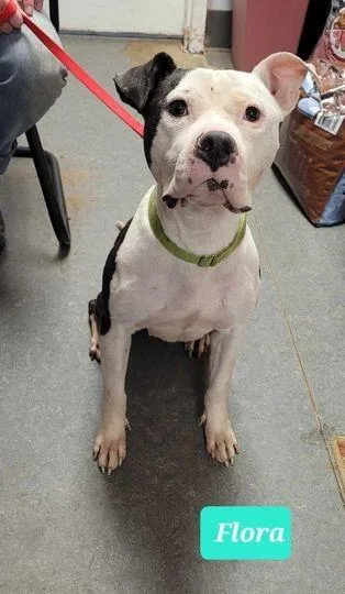 Florasponsored thumbnail 3