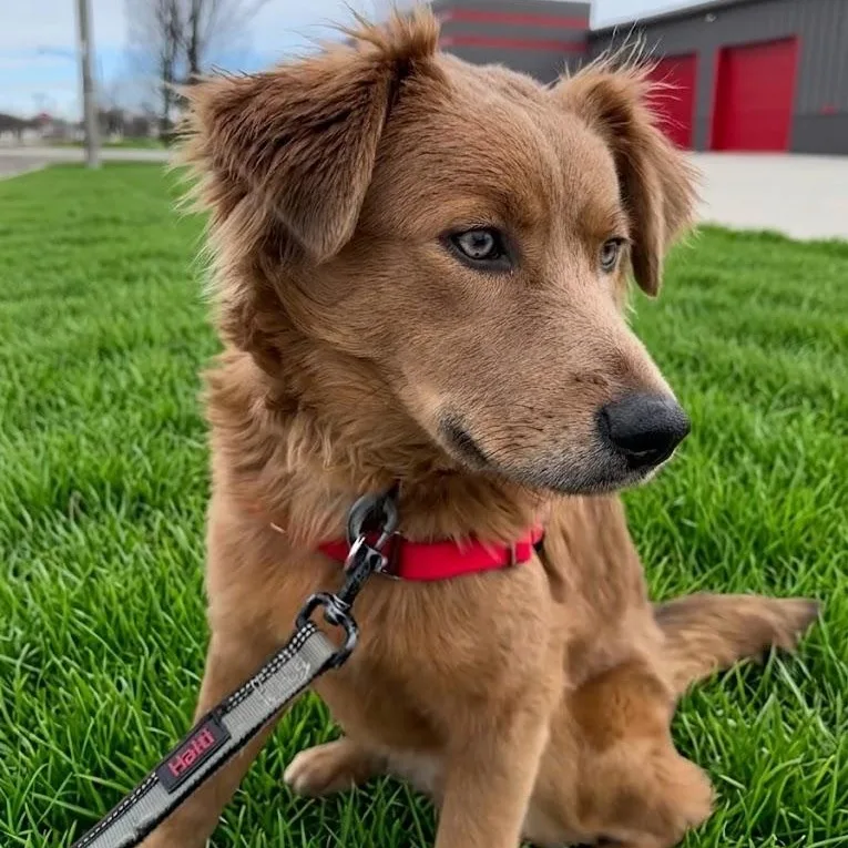 Harper Home Visit In thumbnail 2