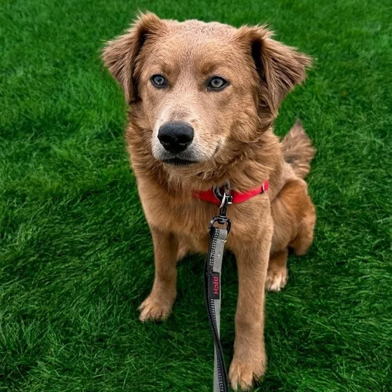 Harper Home Visit In