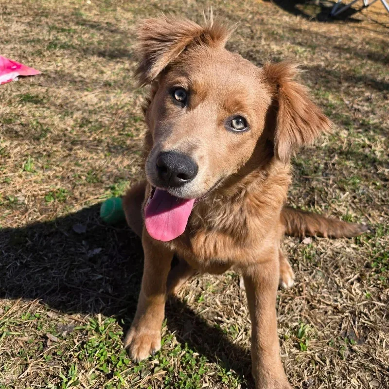 Harper Home Visit In thumbnail 3