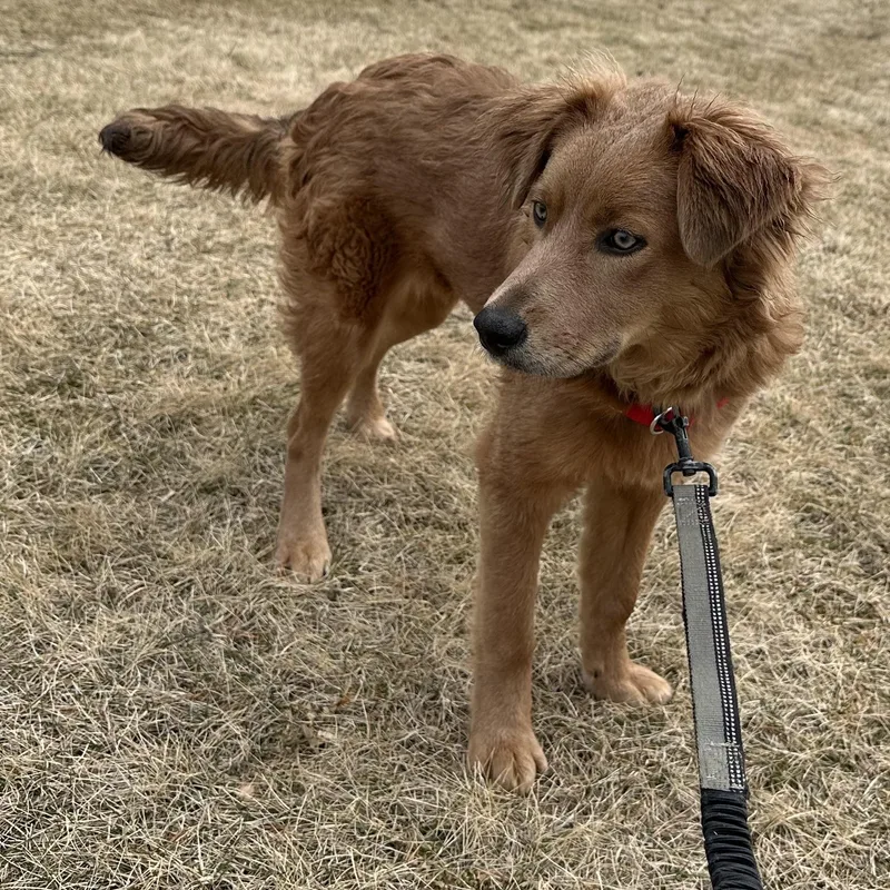 Harper Home Visit In thumbnail 4