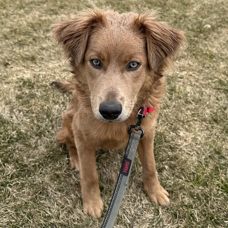 Harper Home Visit In thumbnail 5