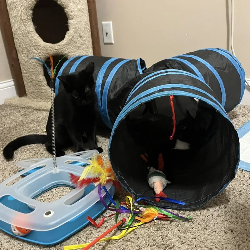 Anastasia thumbnail 5