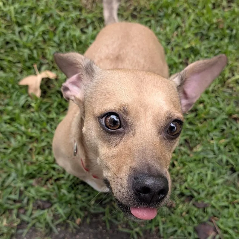 Maggie thumbnail 3