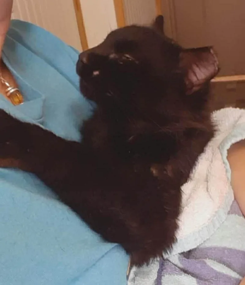 Midnight thumbnail 2