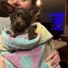 Nacho thumbnail 2