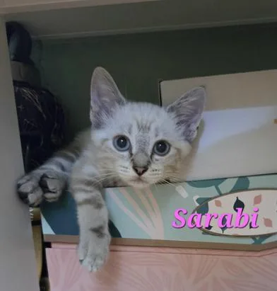 Odette & Sarabi thumbnail 5